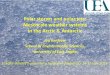 Polar storms and polar jets Mesoscale weather systems in the Arctic 