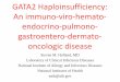 GATA2 Haploinsufficiency: An immuno-viro-hemato- endocrino 