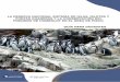 El pingüino de Humboldt en la RNSIIPG Sector Pisco. Guía para 