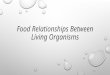 Food relationships among living organisms
