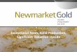 Newmarket Gold Investor Presentation July 2016