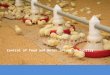 Control of feed and water intake in poultry