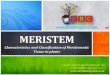 Meristem PPT (Characteristics and Classification) by Easybiologyclass