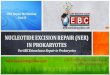Nucleotide Excision Repair (NER) in Prokaryotes PPT by Easybiologyclass