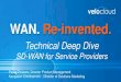 SD-WAN for Service Providers - VeloCloud
