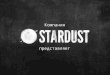 Заявка STARDUST (школа молодого миллиардера forbes)
