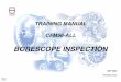CFM all borescope inspection