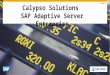 Spotlight on Financial Services with Calypso and SAP ASE