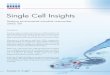 Single Cell Insights:  Studying Environmental Microbial Communities Cell by Cell