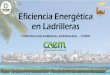 Eficiencia energética en las ladrilleras - Caem