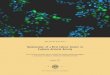 Optimization of a Viral Culture System to Evaluate Antiviral Activity