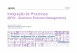 Integração de Processos BPM - Business Process Management 