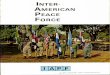 Inter-American Peace Force Stability Operations Report