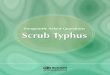 Frequently Asked Questions - Scrub Typhus