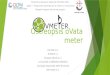 Progetto OVMETER - Ostreopsis oVata meter -