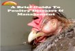 A Brief Guide to Poultry Diseases Management