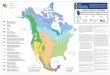 ECOLOGICAL REGIONS OF NORTH AMERICA REGIONES 