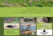 Resilient Sites for Species Conservation in the Northeast and Mid 