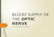 Blood supply of the optic nerve