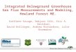 Integrated Belowground Greenhouse Gas Flux Measurements and Modeling, Howland Forest ME