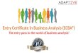 Adaptive industry relevant BA certification - ECBA
