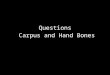 Exam Questions Carpus and Hand Bones