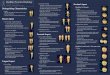 Tooth Morphology : Mandibular Premolars Poster