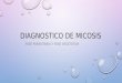 Diagnostico de-micosis: pitiriasis versicolor, actinomicetomas, eumicetomas, esporotricosis y tiñas