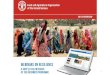 Webinar 4 on resilience: SHOCK-RESPONSIVE SOCIAL PROTECTION FOR RESILIENCE BUILDING: supporting livelihoods in protracted crises, fragile and humanitarian contexts