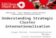 TCI 2016 Understanding Strategic Cluster internationalization
