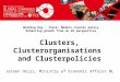 TCI 2016 Clusters, Clusterorganisations and Clusterpolicies