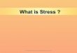 Some concepts of stress and the importance of attitude