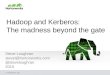 Hadoop and Kerberos: the Madness Beyond the Gate