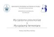 Mycoplasma pneumonie y fermentans