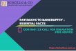 Pathways to bankruptcy – essential facts