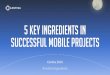 5 Key Ingredients in Successful Mobile Projects