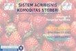 Sistem Agribisnis Komoditas Stroberi