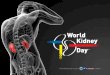 World Kidney Day (12-16)