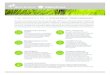 Co-branded Strategic Accounts Corporate Flyer