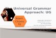 The universal grammar approach