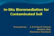 In-Situ Bioremediation for Contaminated Soil