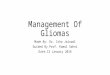 MANAGEMENT OF GLIOMAS