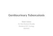Short review of genitourinary tuberculosis