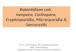 Acid fast Intestinal parasites - Parasitology isospora cyclospora - sarcocystis - microsporidium - cryptosporidium -  balantidiumt