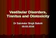 Vestibular tinnitus ototoxicity,dr.bakshi,28.03.2016