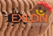 EXLDN Branding & Design Work - 08.15