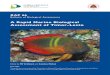 A Rapid Marine Biological Assessment of Timor-Leste RAP 66