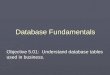5.01 database-fundamentals