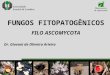 Fungos Fitopatogênicos - Filo Ascomycota