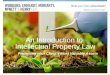 CLE - Introduction to IP Law